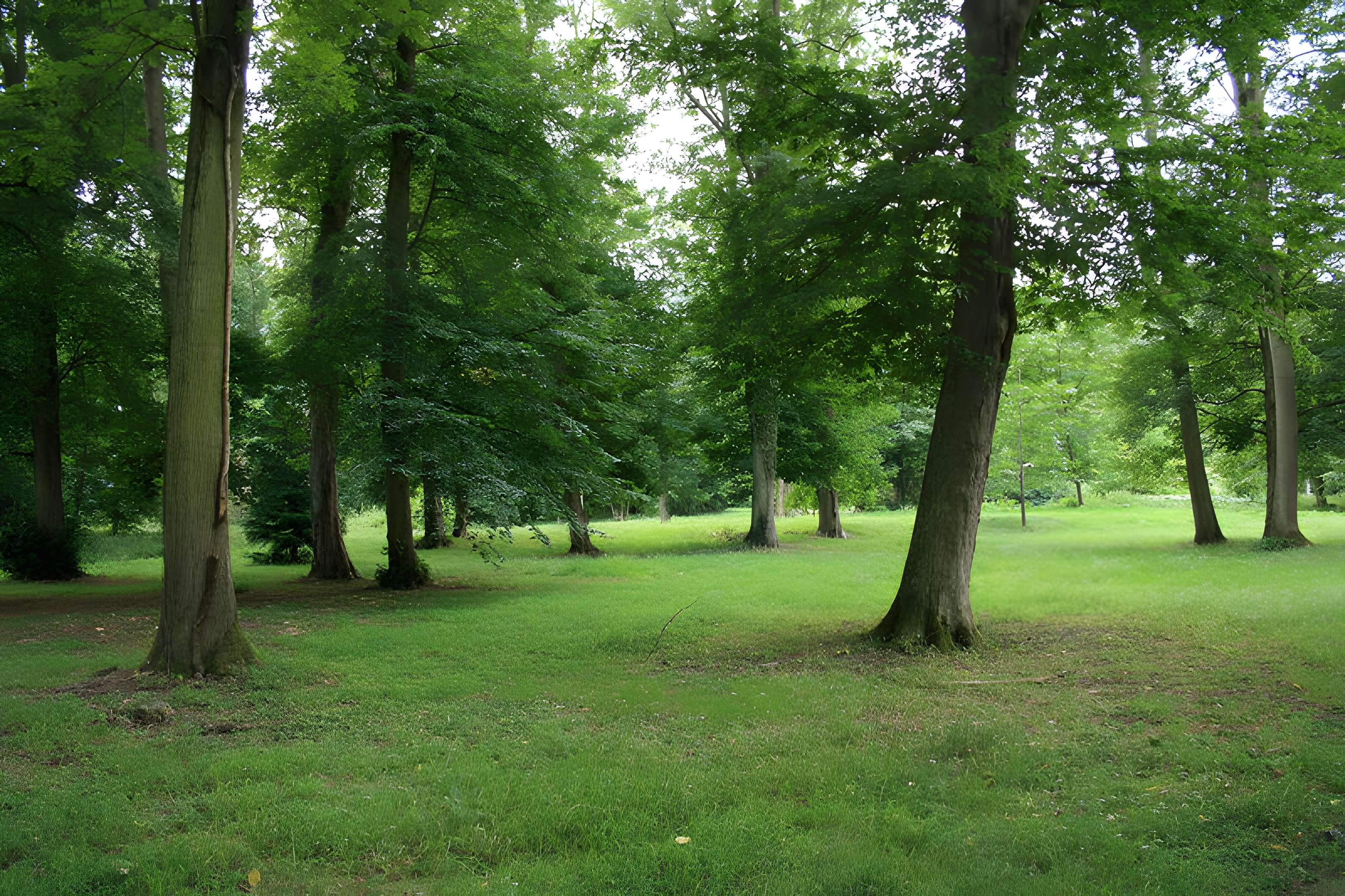 Désert de Retz à Chambourcy