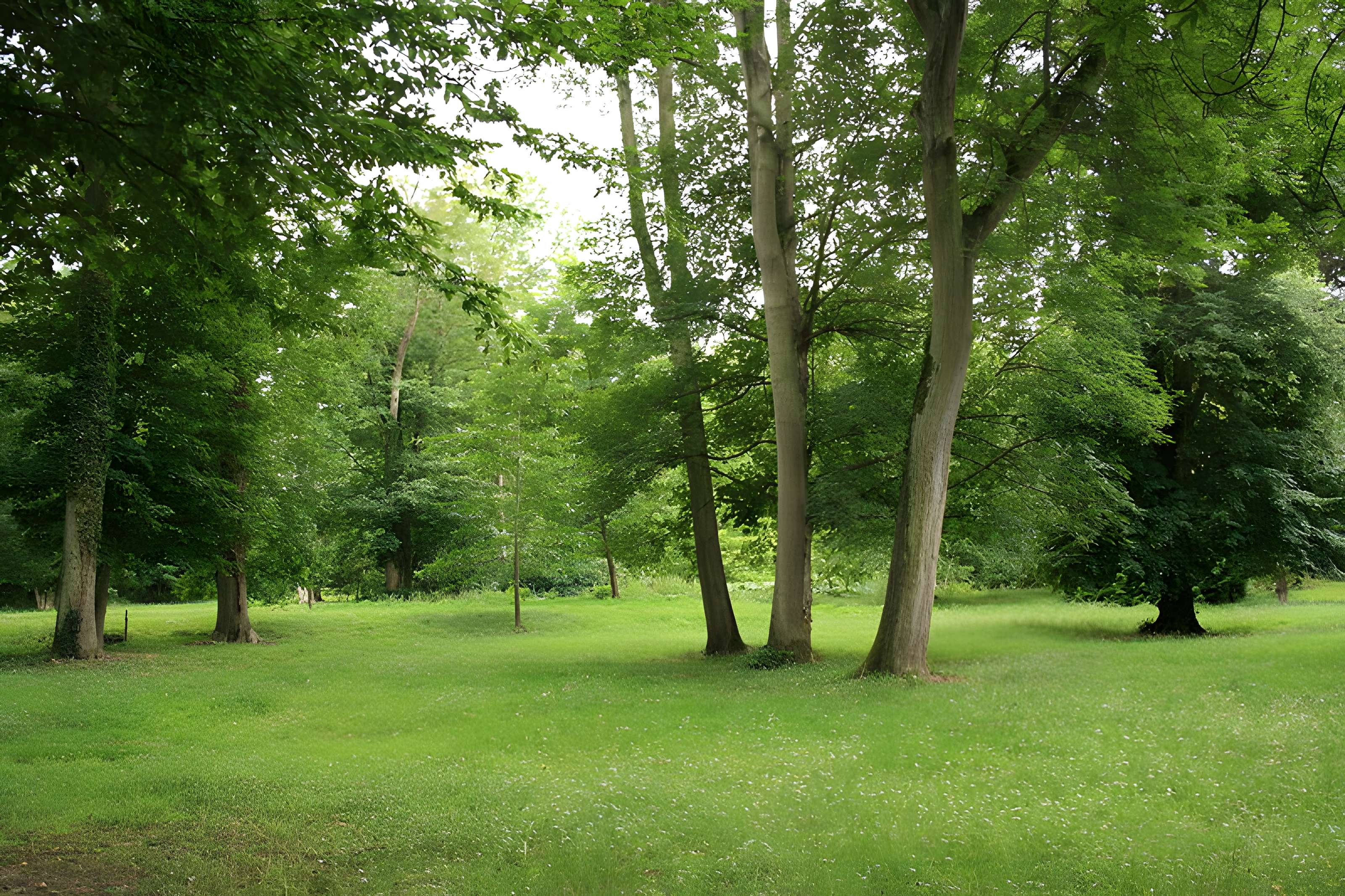 Désert de Retz à Chambourcy