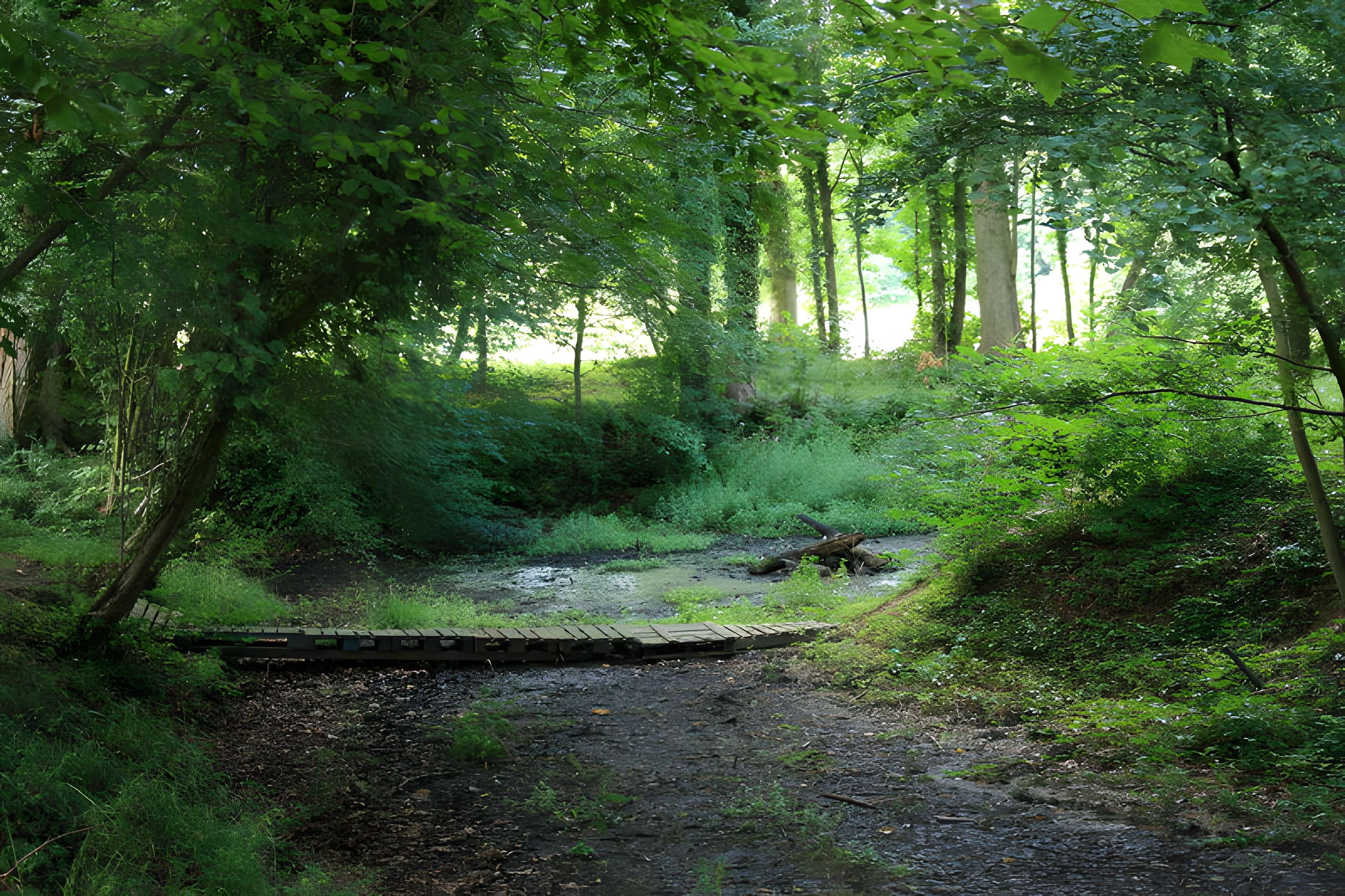 Désert de Retz à Chambourcy