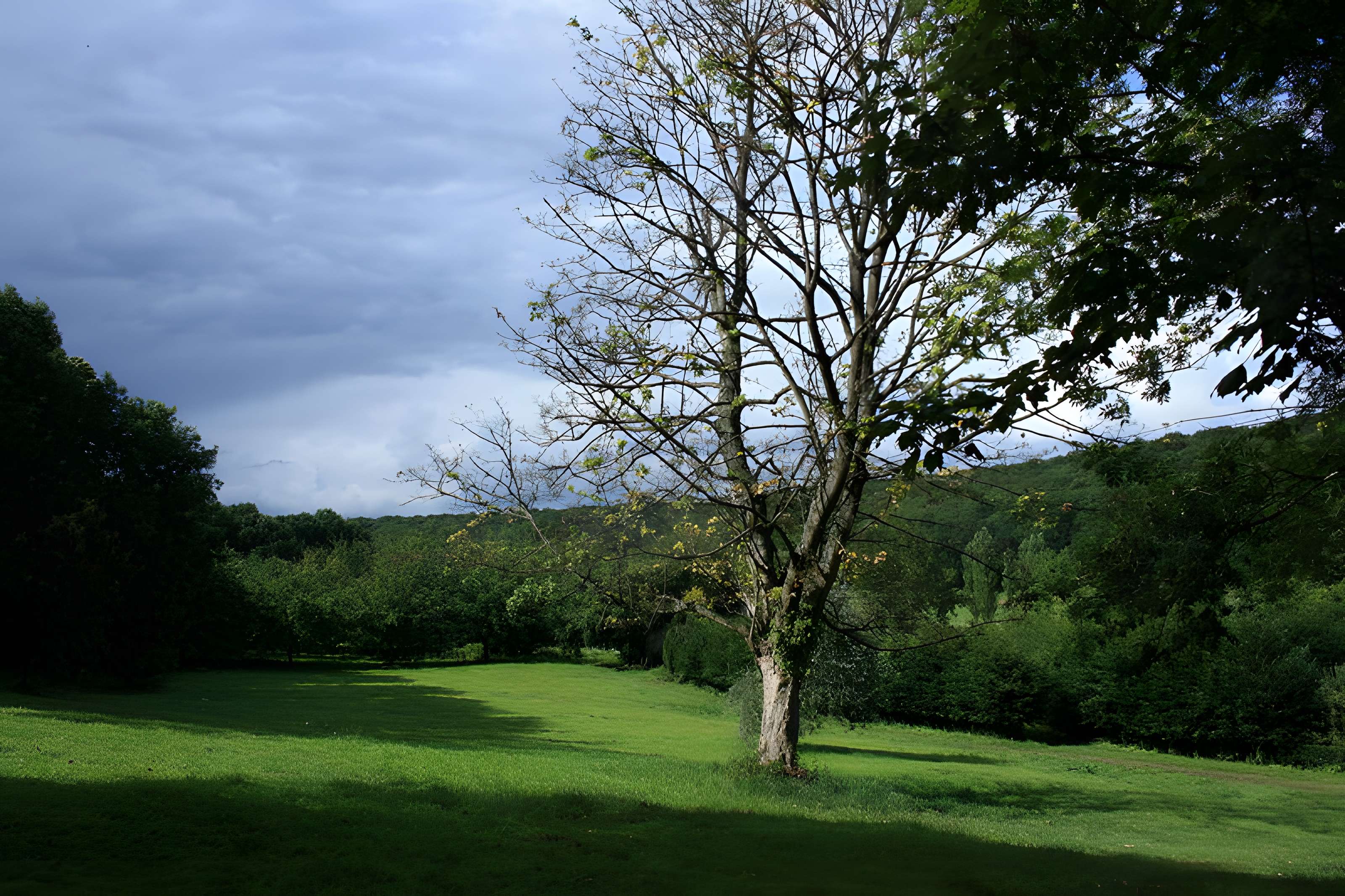 Désert de Retz à Chambourcy