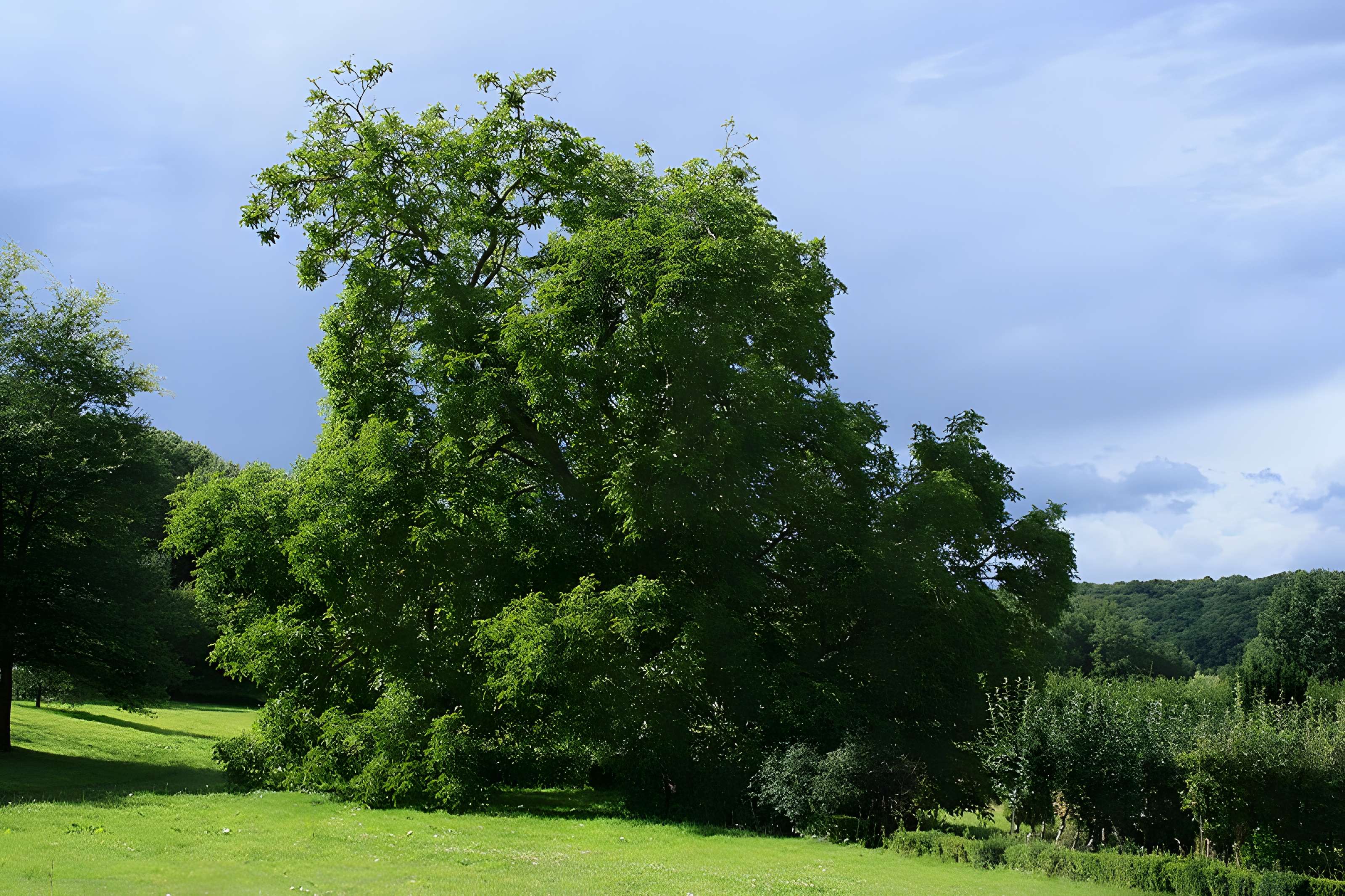 Désert de Retz à Chambourcy