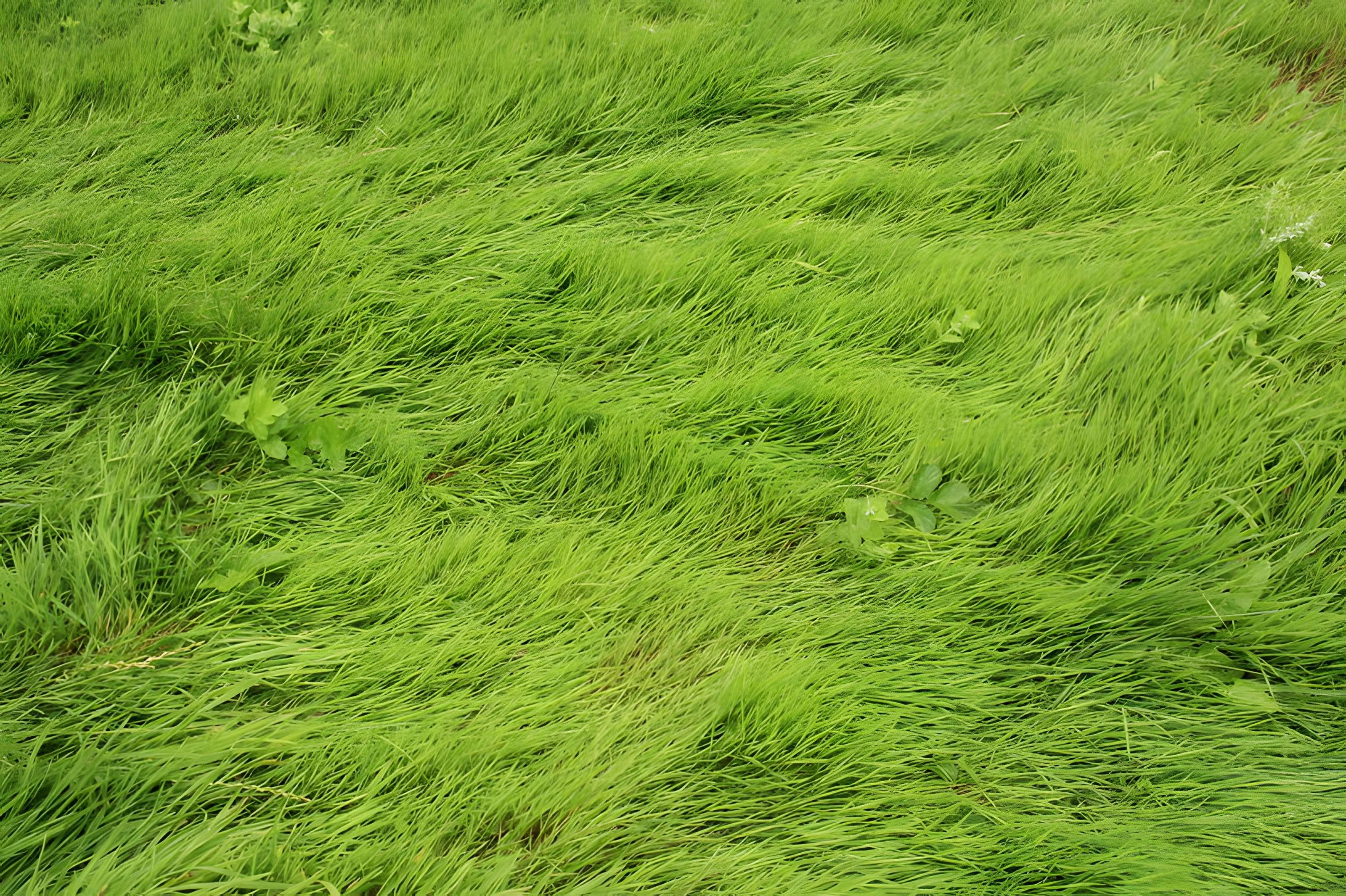 Désert de Retz à Chambourcy