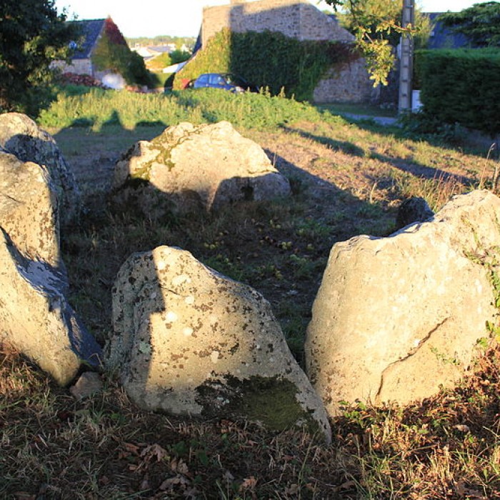 Photo de Dolmen à galerie avec la base de son tumulus de Belz