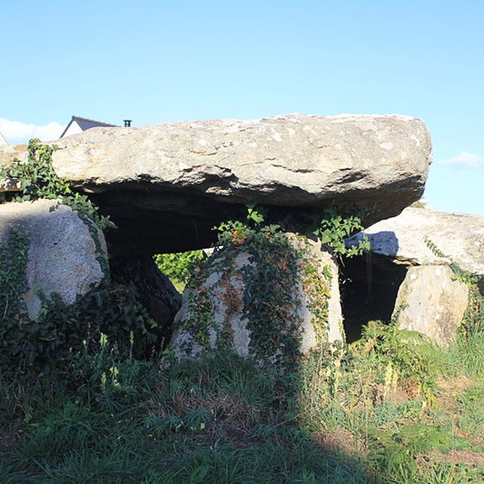 Photo de Dolmen à galerie avec la base de son tumulus de Belz