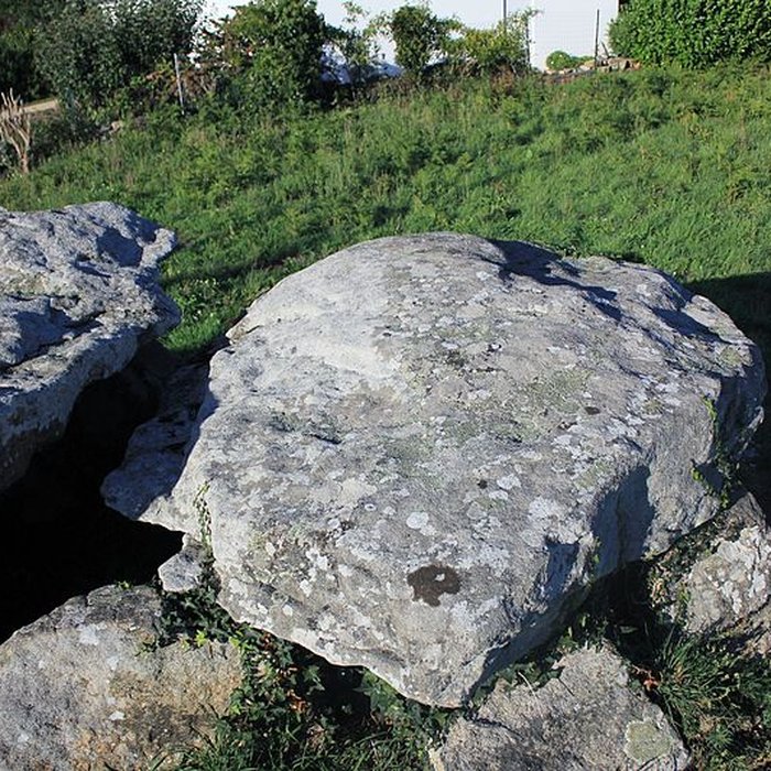 Photo de Dolmen à galerie avec la base de son tumulus de Belz