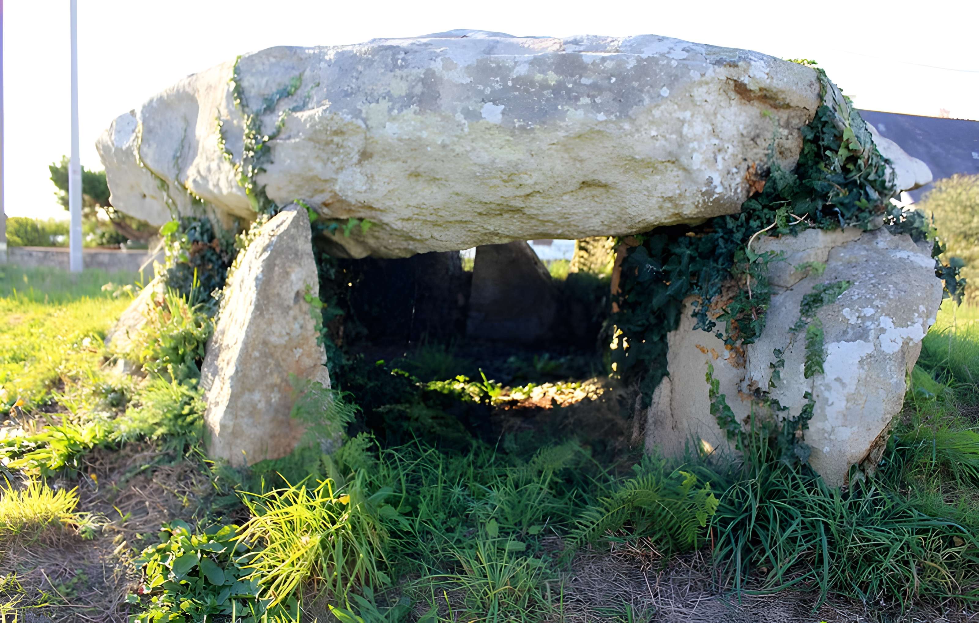 Dolmen à galerie avec la base de son tumulus de Belz