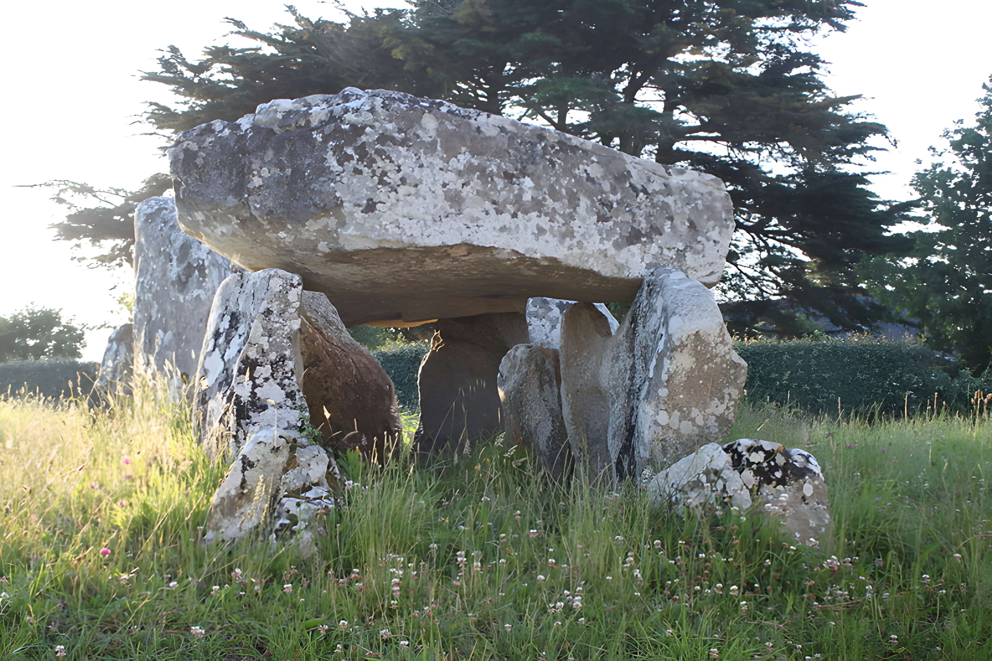 Dolmen à galerie avec la base de son tumulus de Belz