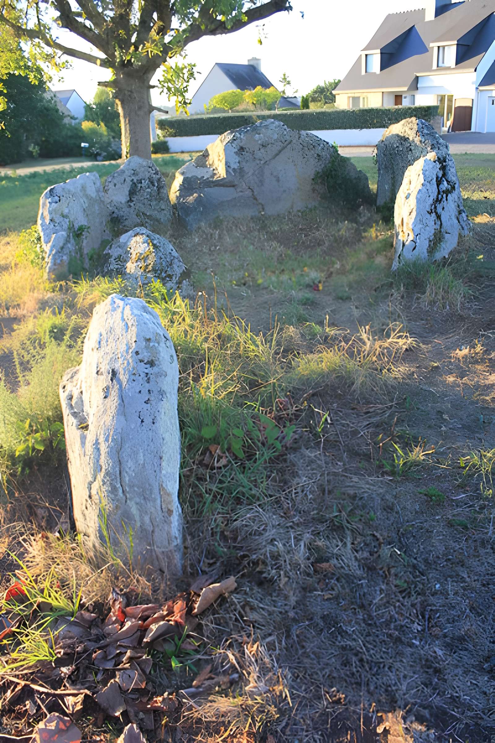 Dolmen à galerie avec la base de son tumulus de Belz