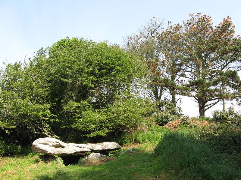 Photo de Dolmen d'Argenton de Landunvez