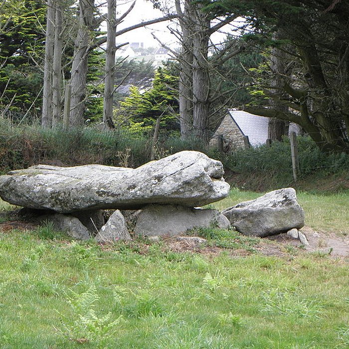 Photo de Dolmen dArgenton de Landunvez