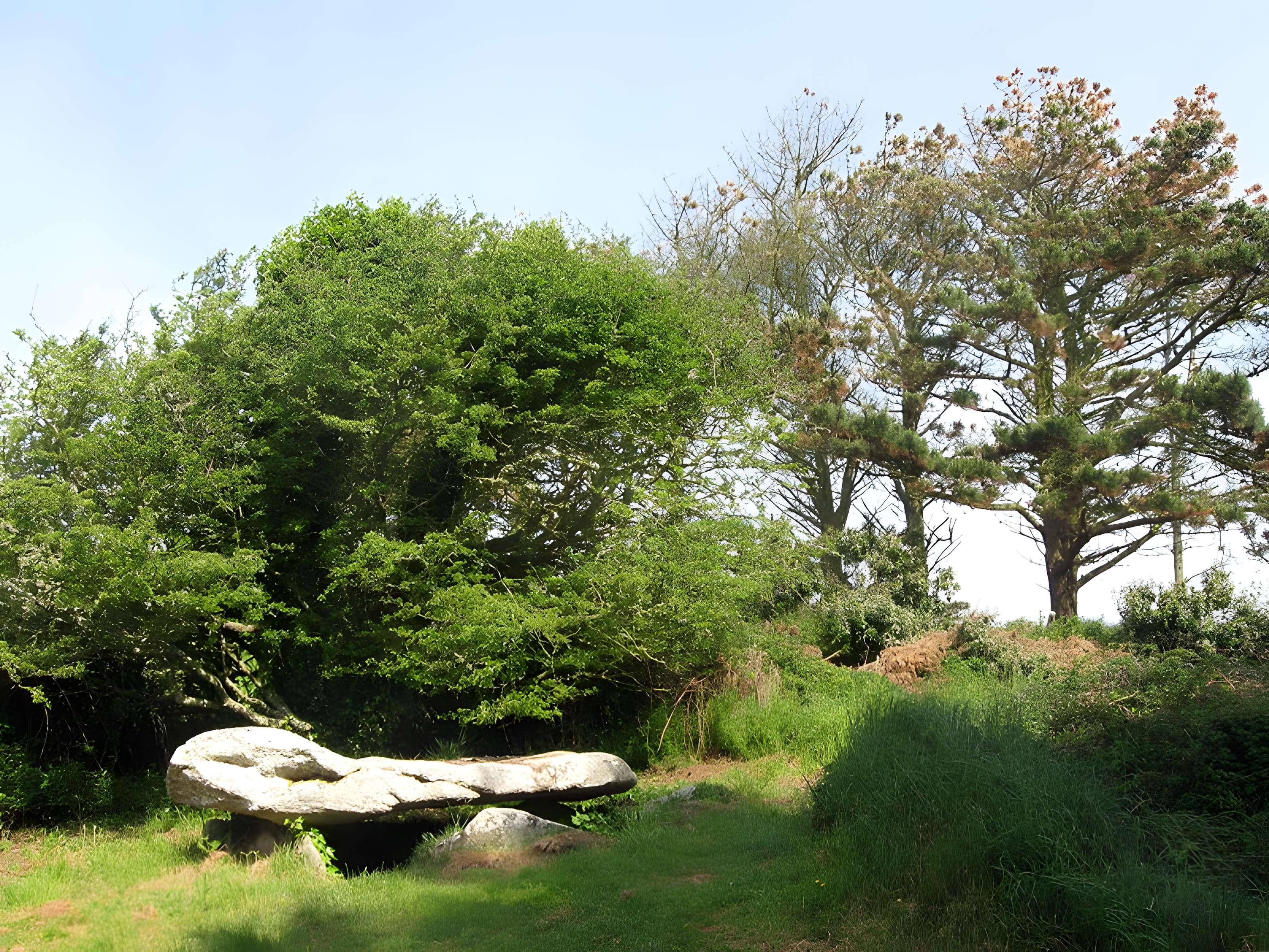 Dolmen d'Argenton de Landunvez 