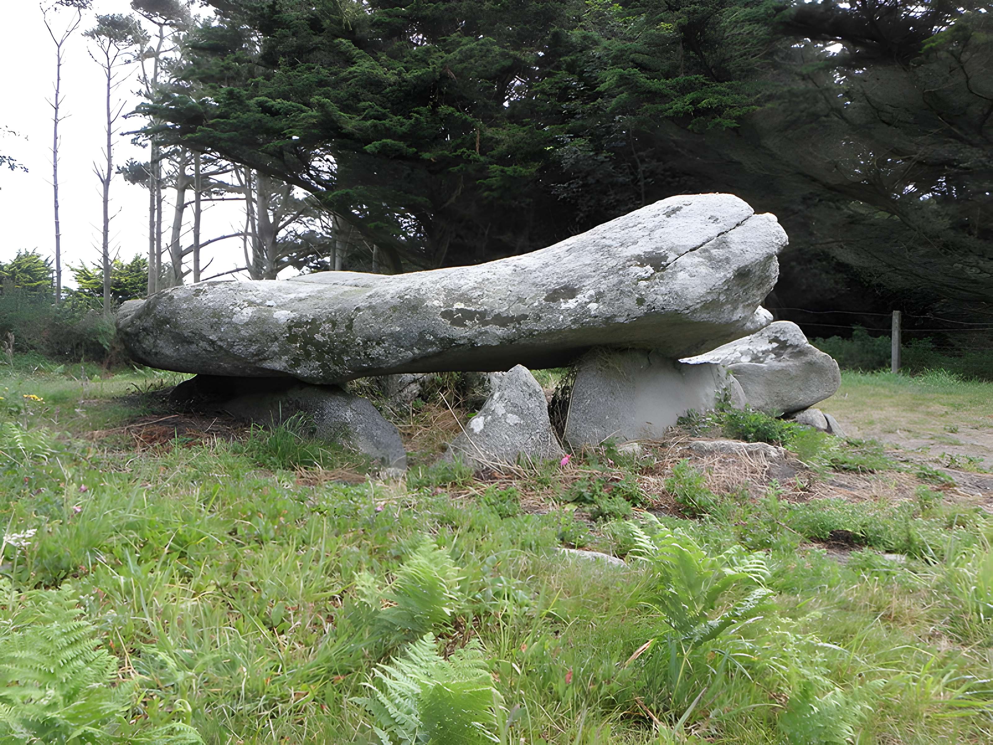 Dolmen d'Argenton de Landunvez