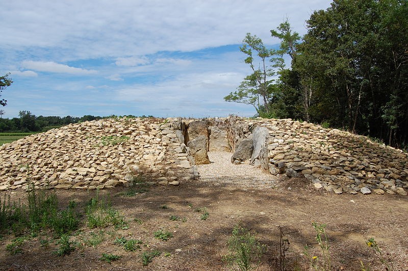 Photo de Allée couverte de Barbehère à Saint-Germain-d'Esteuil