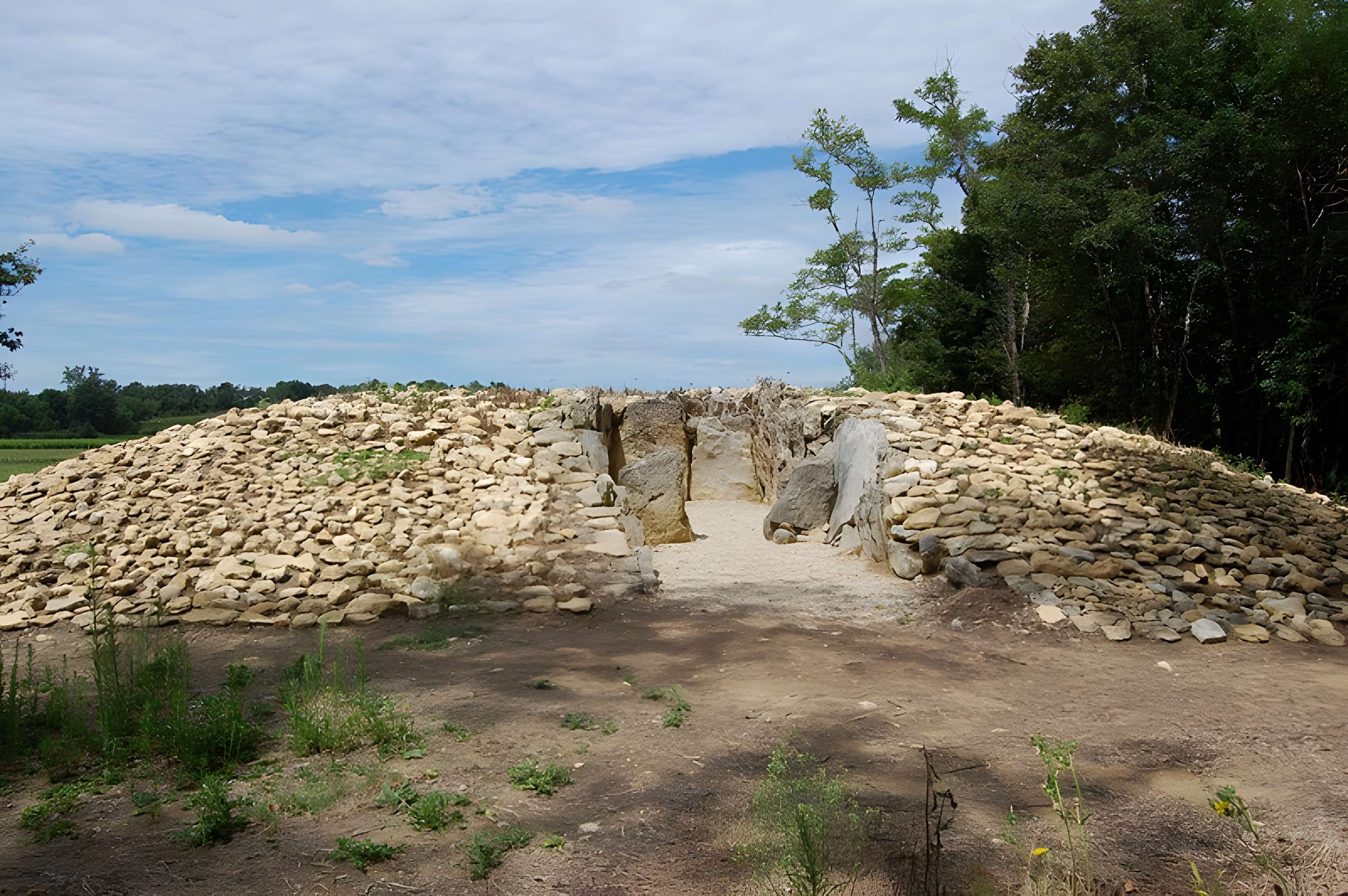 Allée couverte de Barbehère à Saint-Germain-d'Esteuil 