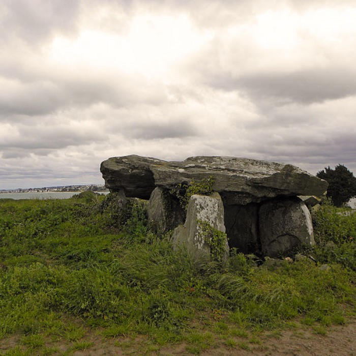 Photo de Dolmen de Boutouiller à Saint-Pol-de-Léon