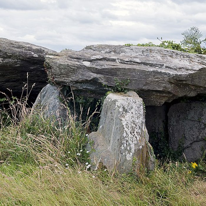 Photo de Dolmen de Boutouiller à Saint-Pol-de-Léon