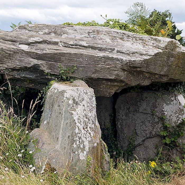 Photo de Dolmen de Boutouiller à Saint-Pol-de-Léon