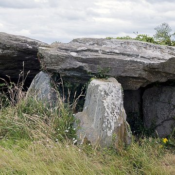 Dolmen de Boutouiller à Saint-Pol-de-Léon