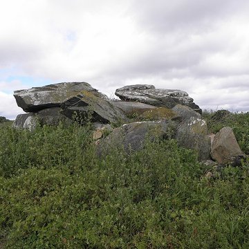 Dolmen de Boutouiller à Saint-Pol-de-Léon