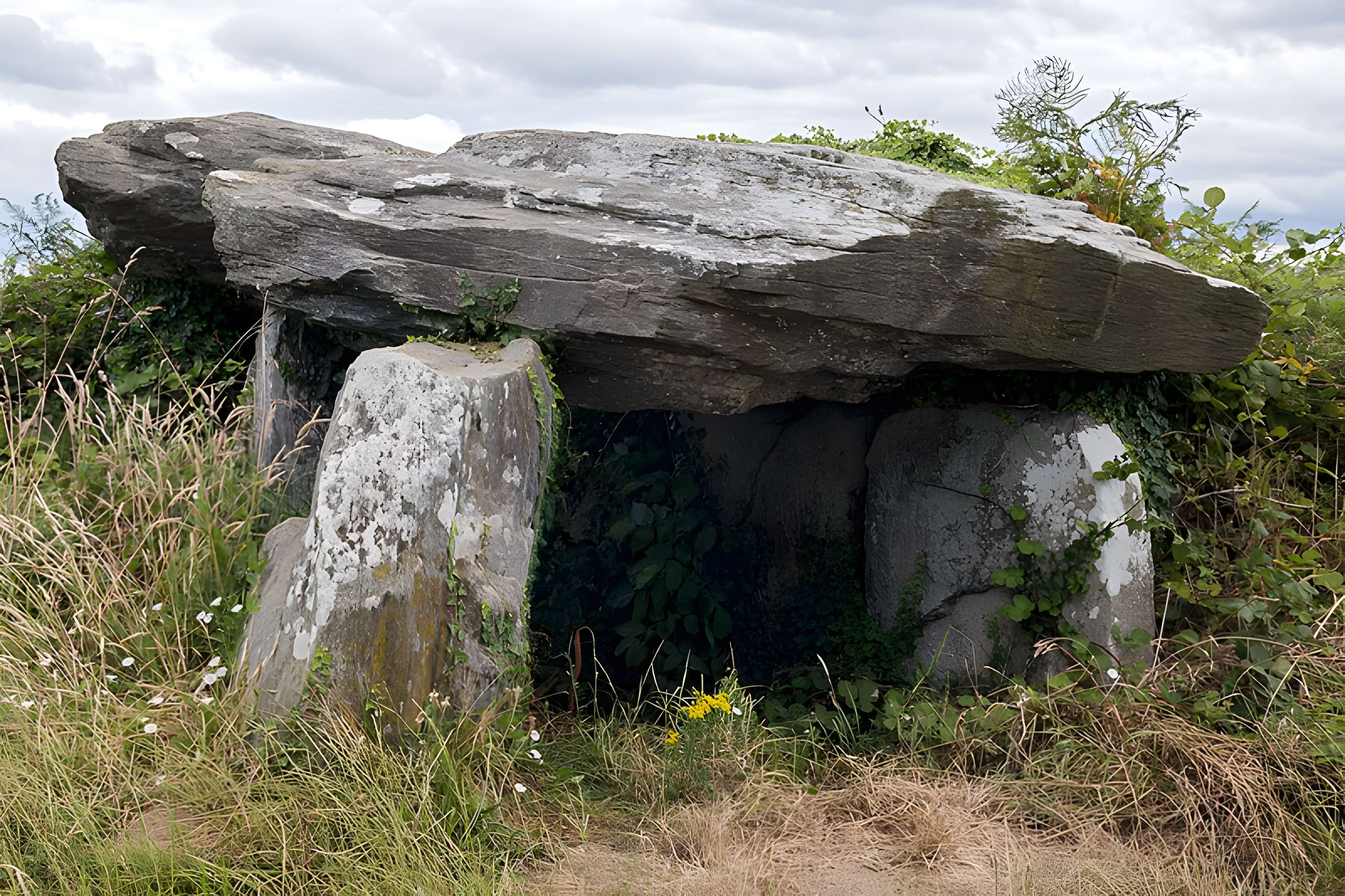 Dolmen de Boutouiller à Saint-Pol-de-Léon