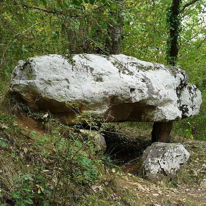 Photo de Dolmen de Cantegrel à Saint-Chamassy