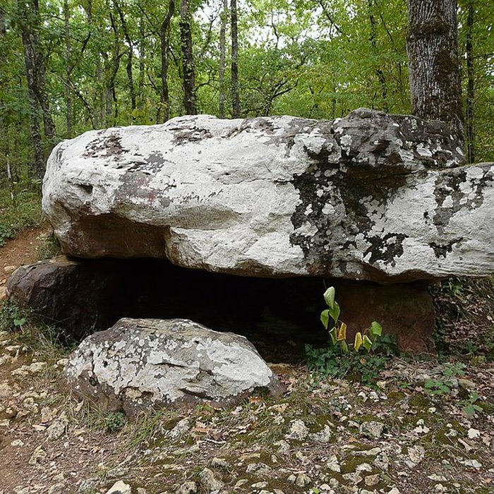 Photo de Dolmen de Cantegrel à Saint-Chamassy
