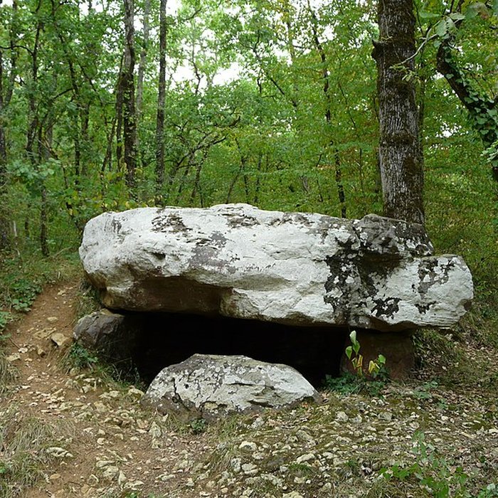 Photo de Dolmen de Cantegrel à Saint-Chamassy