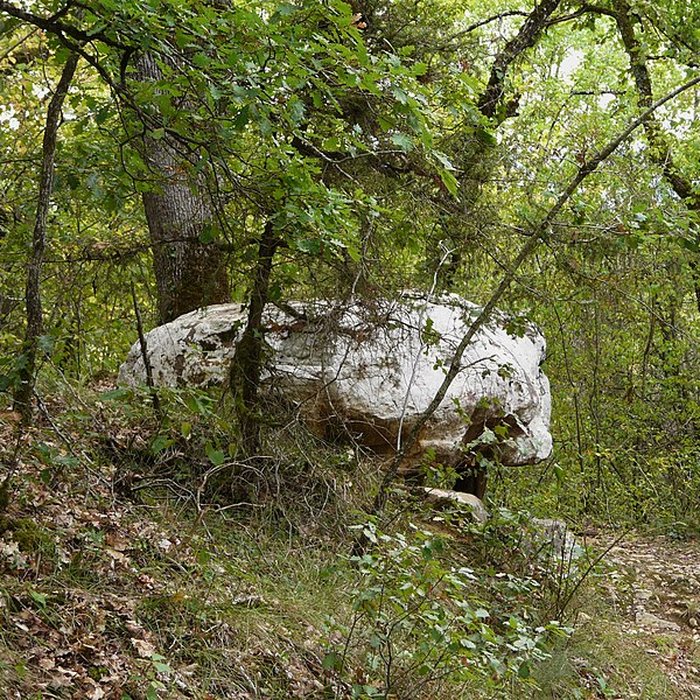 Photo de Dolmen de Cantegrel à Saint-Chamassy
