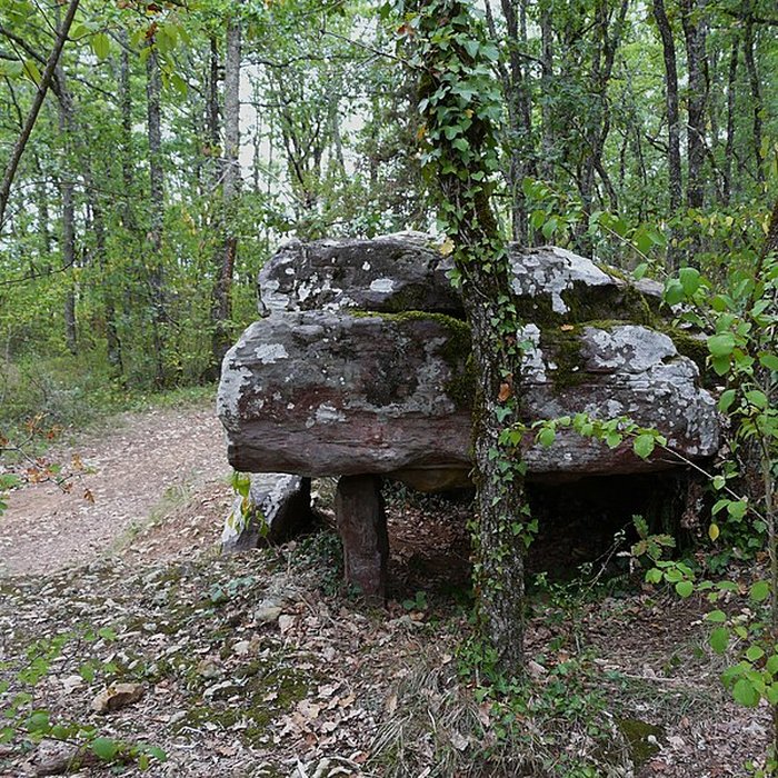 Photo de Dolmen de Cantegrel à Saint-Chamassy