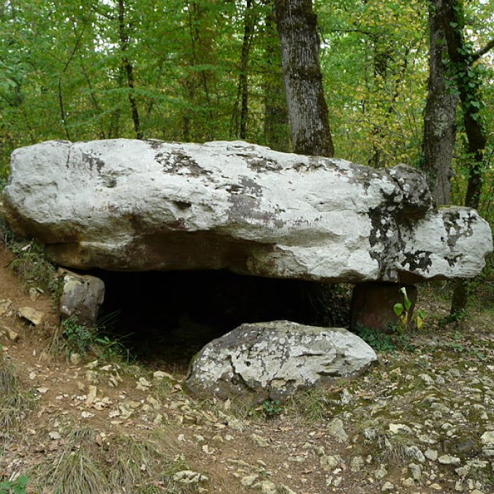 Photo de Dolmen de Cantegrel à Saint-Chamassy