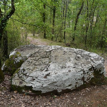 Dolmen de Cantegrel à Saint-Chamassy