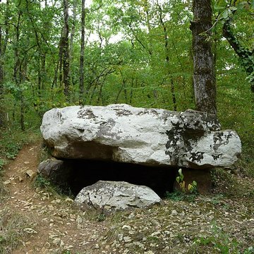 Dolmen de Cantegrel à Saint-Chamassy