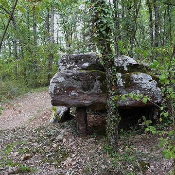Dolmen de Cantegrel à Saint-Chamassy