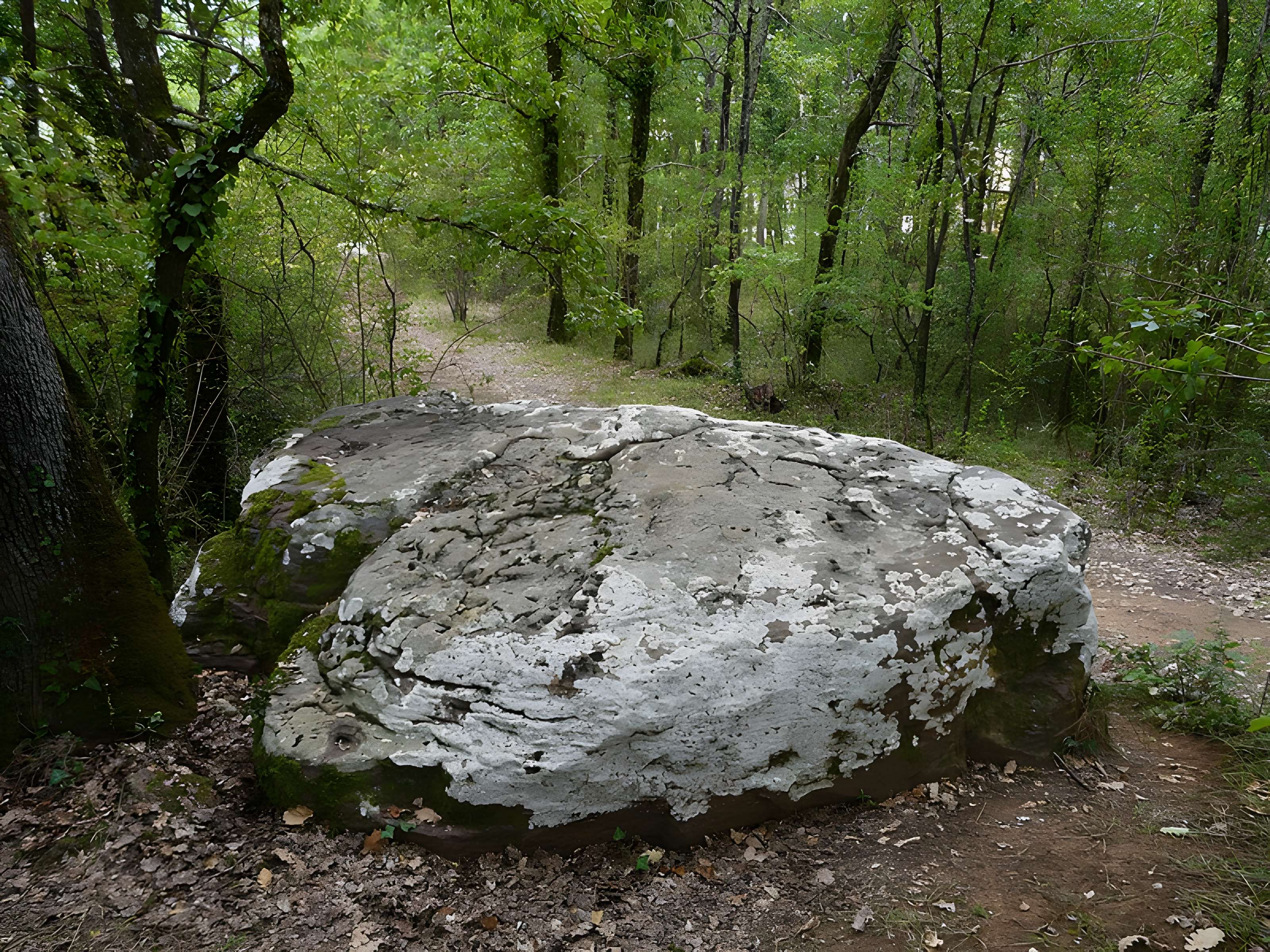 Dolmen de Cantegrel à Saint-Chamassy