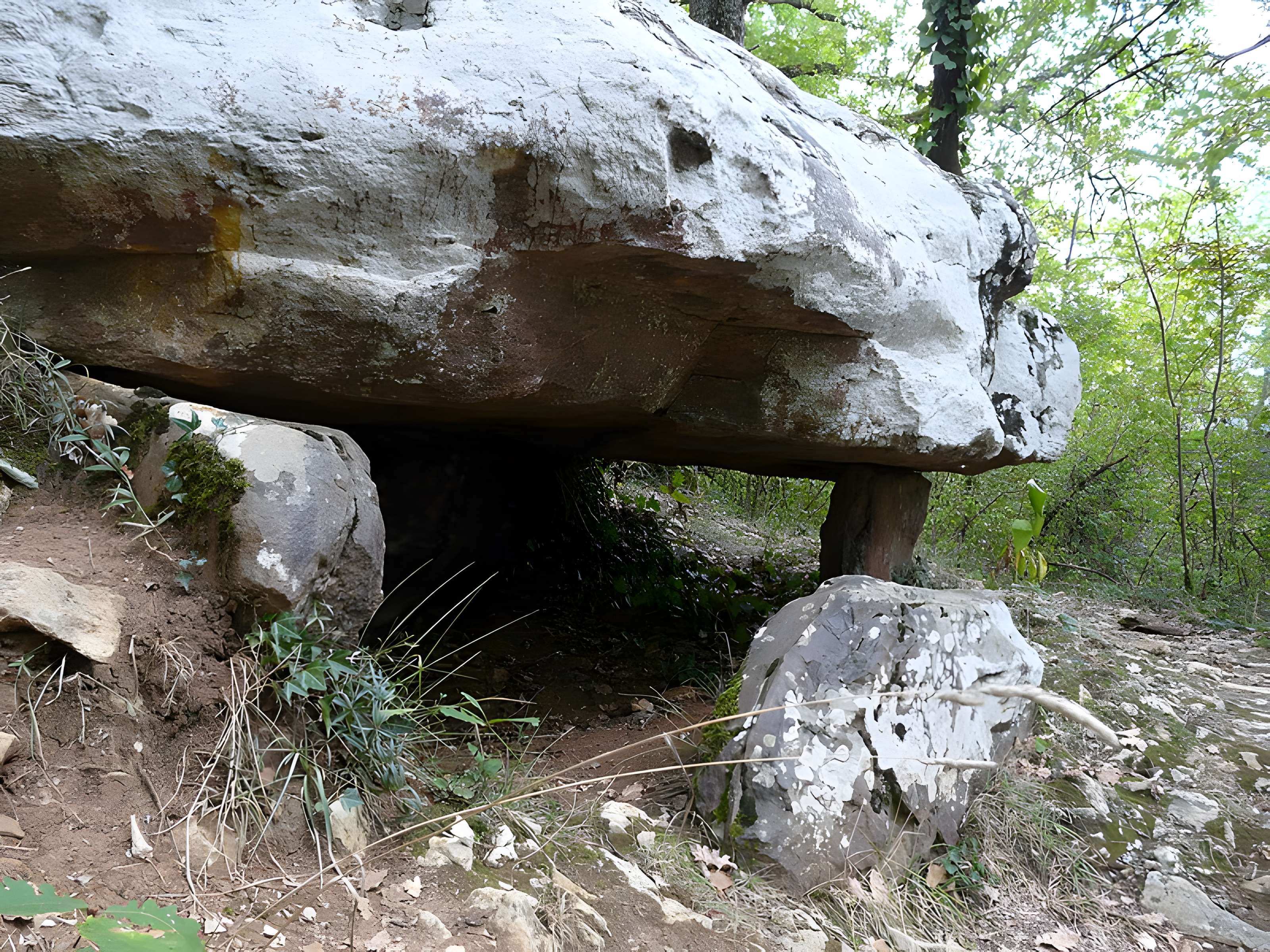 Dolmen de Cantegrel à Saint-Chamassy