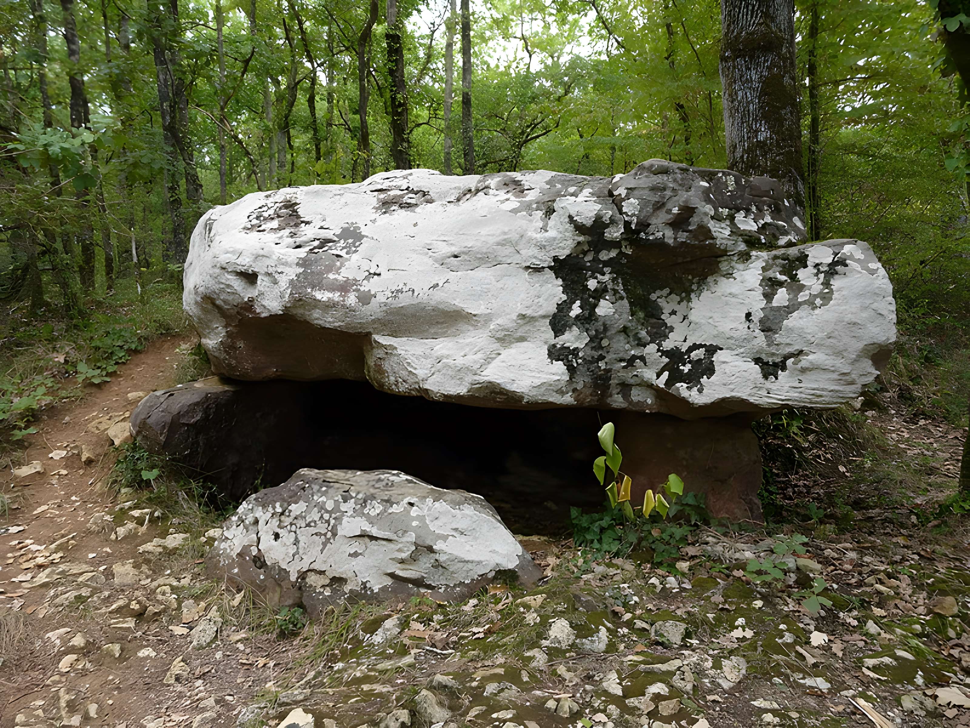 Dolmen de Cantegrel à Saint-Chamassy