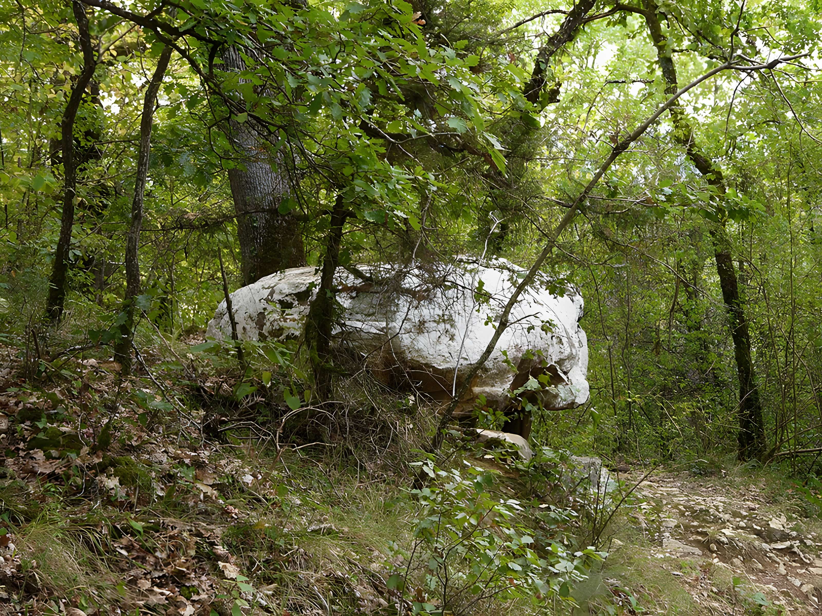 Dolmen de Cantegrel à Saint-Chamassy
