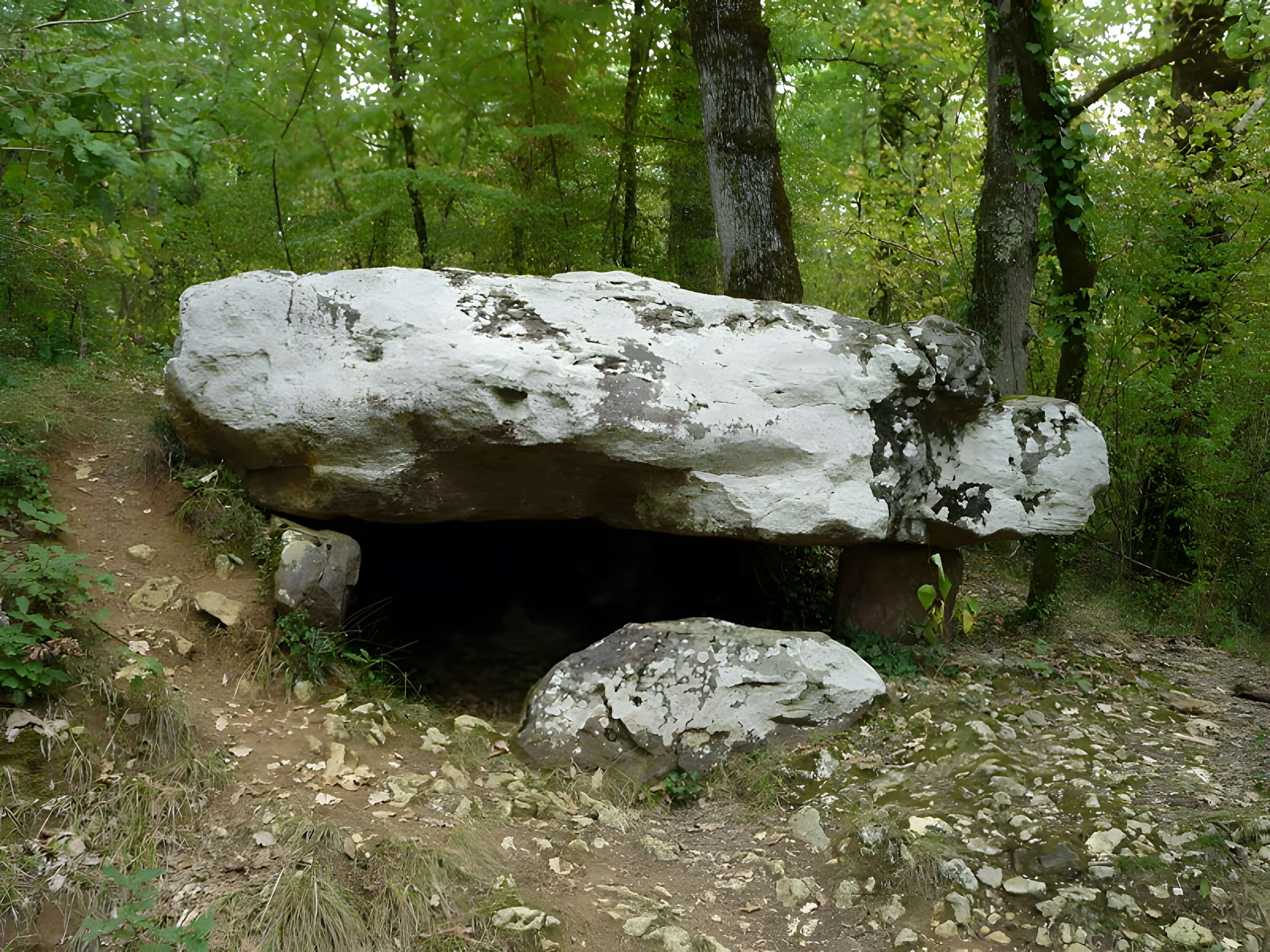 Dolmen de Cantegrel à Saint-Chamassy 