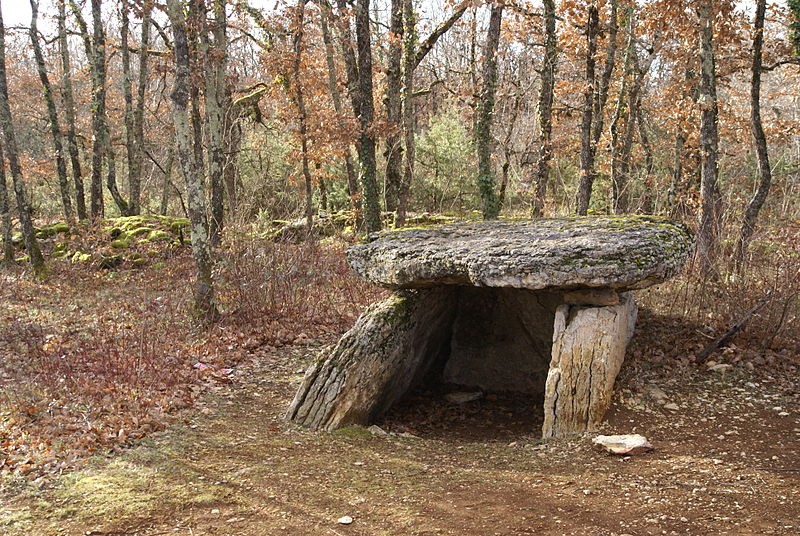 Photo de Dolmen de Combal à Septfonds
