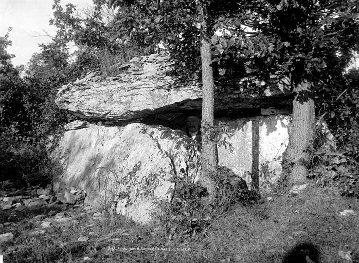 Dolmen de Combal à Septfonds