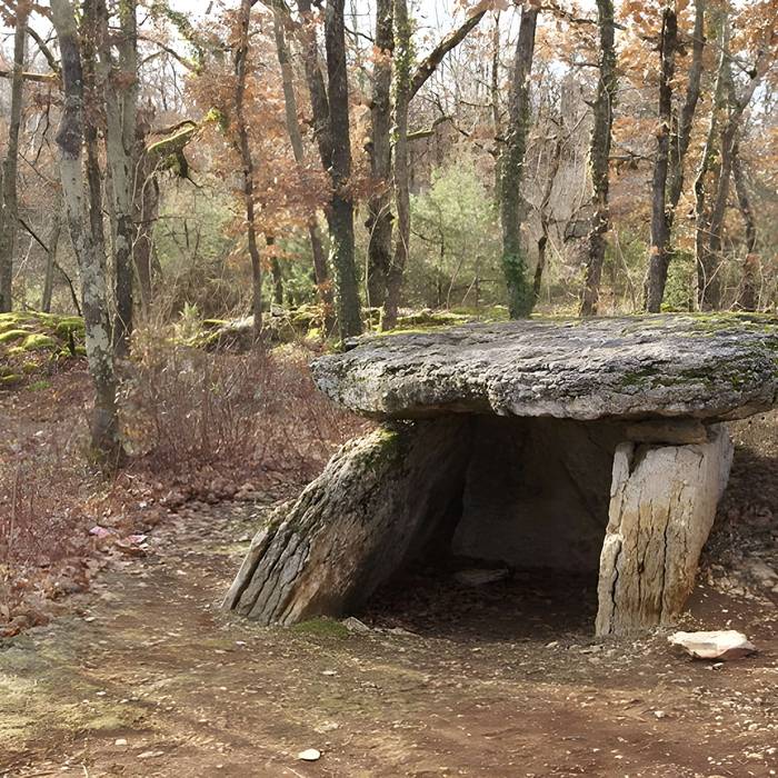 Photo de Dolmen de Combal à Septfonds