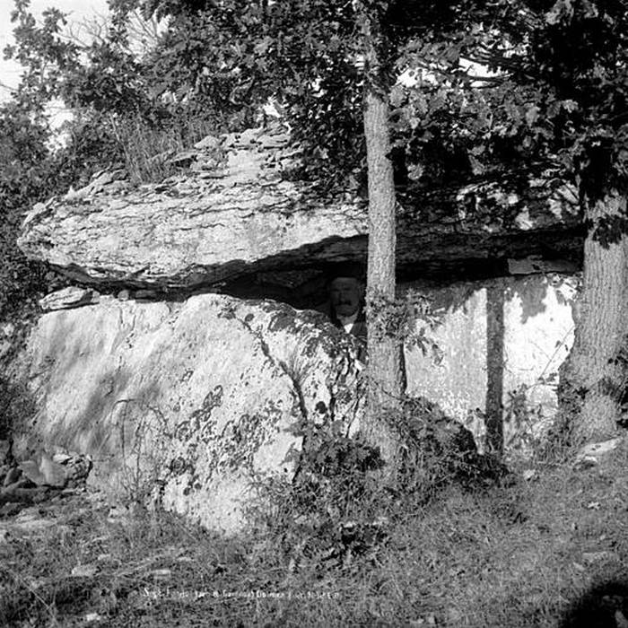 Photo de Dolmen de Combal à Septfonds