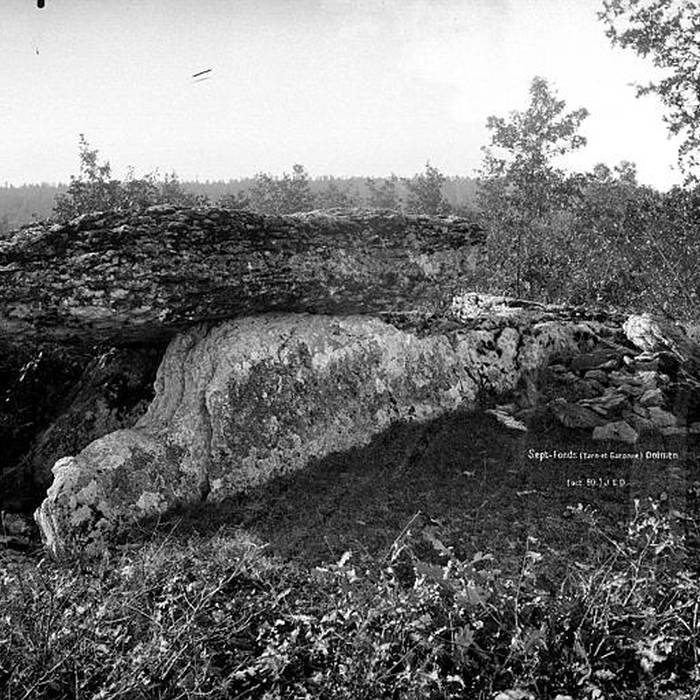 Photo de Dolmen de Combal à Septfonds