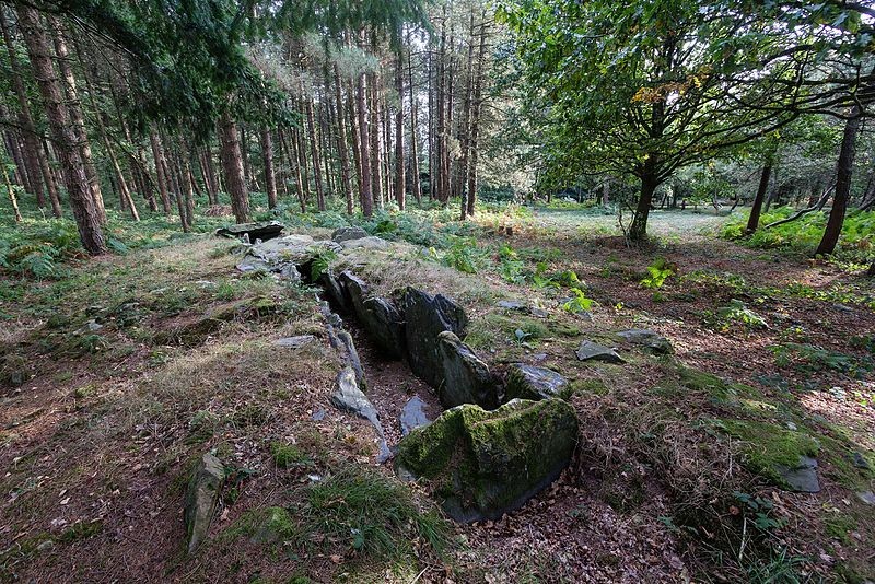 Photo de Dolmen de Corn-er-Houët à Caurel