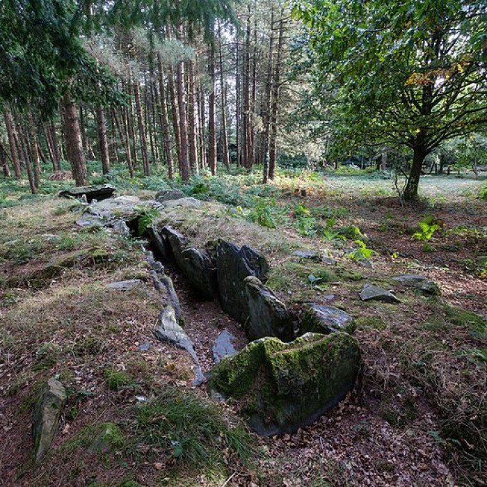 Photo de Dolmen de Corn-er-Houët à Caurel