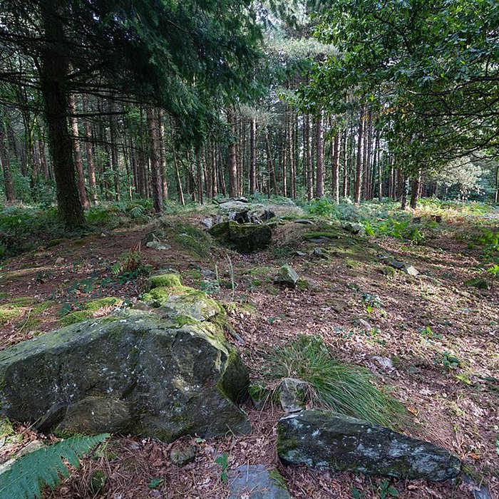 Photo de Dolmen de Corn-er-Houët à Caurel