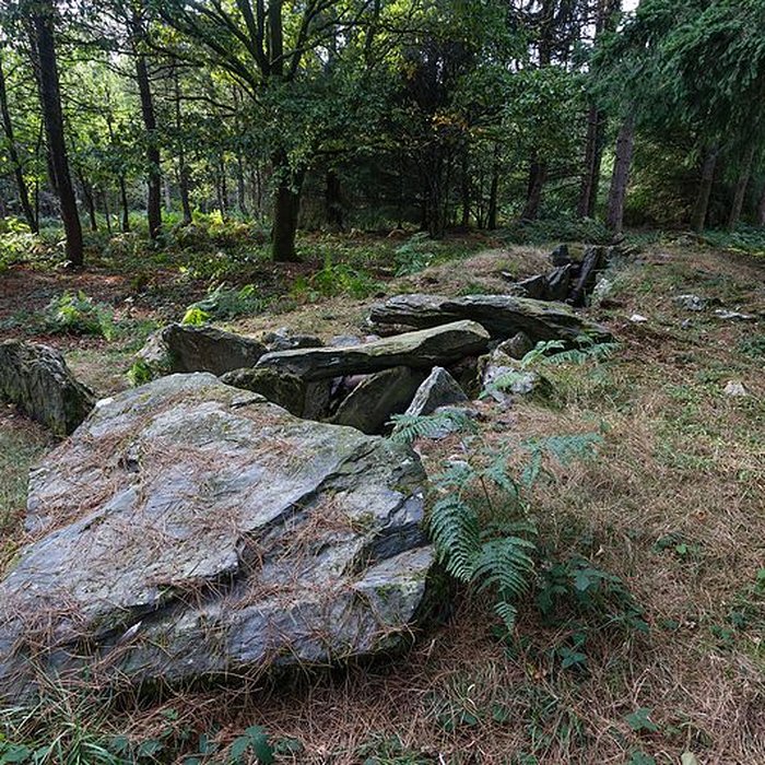 Photo de Dolmen de Corn-er-Houët à Caurel