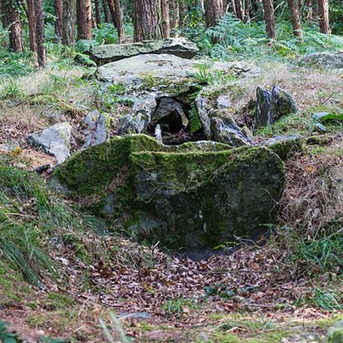 Photo de Dolmen de Corn-er-Houët à Caurel