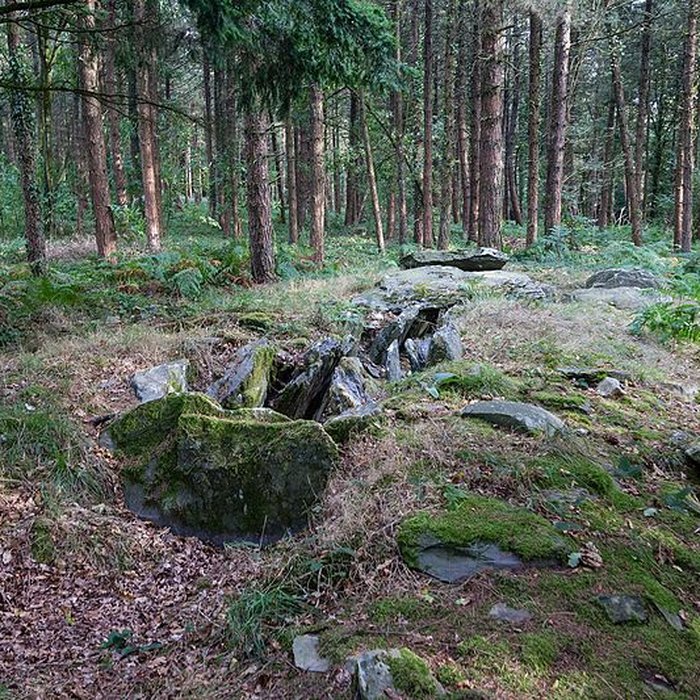 Photo de Dolmen de Corn-er-Houët à Caurel
