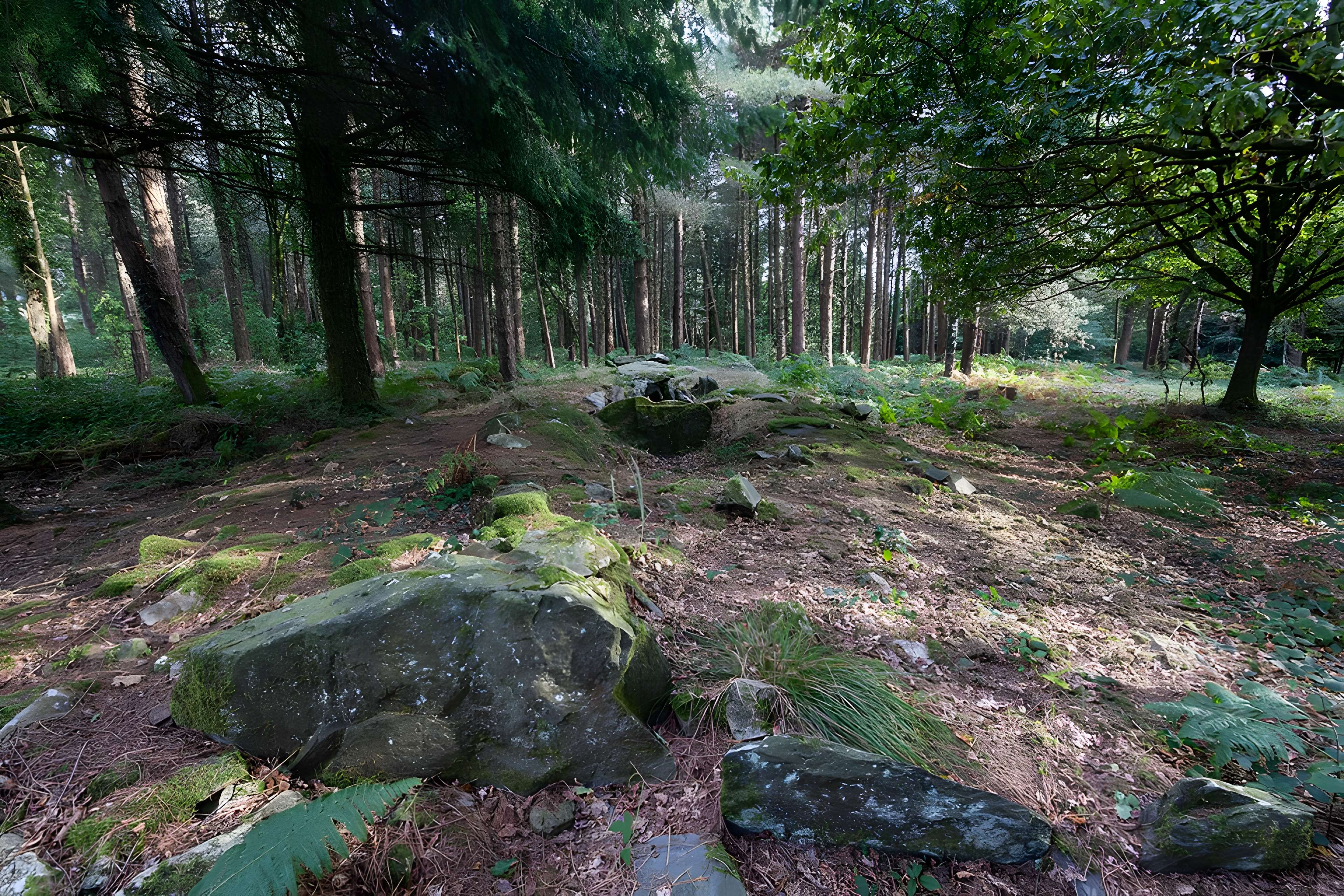 Dolmen de Corn-er-Houët à Caurel